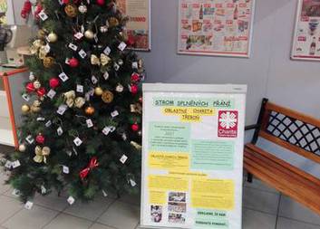 Strom splněných přání v supermarketu Terno Třeboň