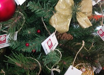 Strom splněných přání v supermarketu Terno Třeboň