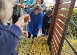 Výběr prutů na pletení pomlázek