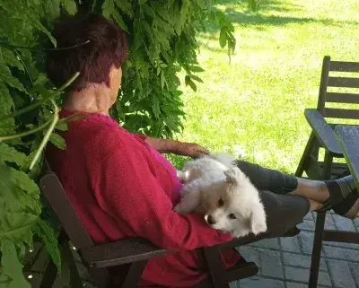 Pečovatelská služba