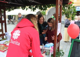 13. září Jihočeský festival zdraví 2025