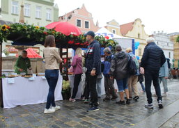 13. září Jihočeský festival zdraví 2025_2